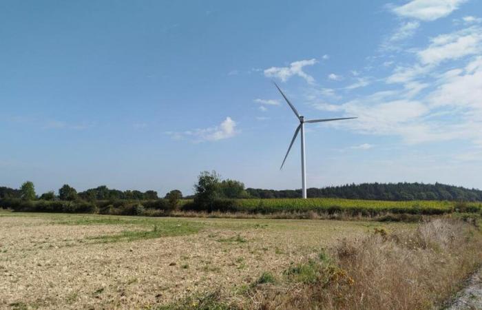 Per aumentare l'accettazione delle turbine eoliche, un fornitore di energia offre una riduzione ai vicini