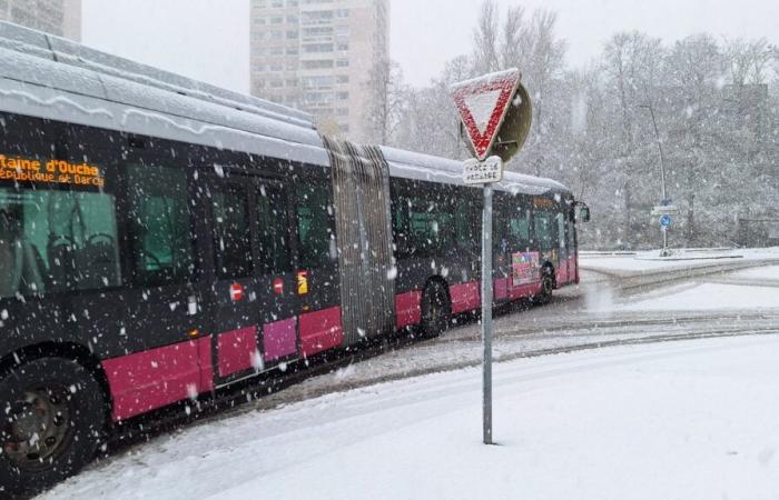 LIVE: Neve nelle metropoli, la situazione si fa sempre più complicata!