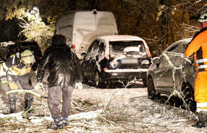 Il servizio meteorologico tedesco avverte di tempeste di neve: “Pericolo per la vita e l’incolumità”