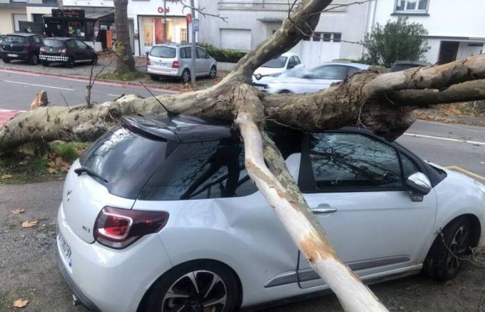 NELLE IMMAGINI. A Saint-Nazaire, la tempesta Caetano rompe gli alberi e semina scompiglio ai piedi del ponte