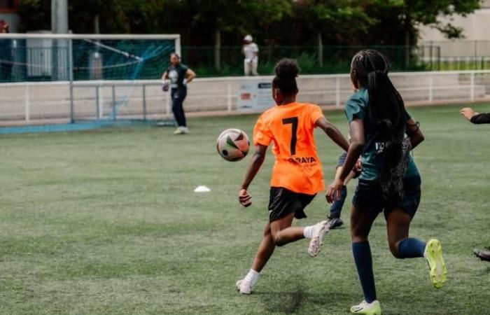 Una squadra femminile della regione di Tolosa vittima di insulti razzisti e sessisti