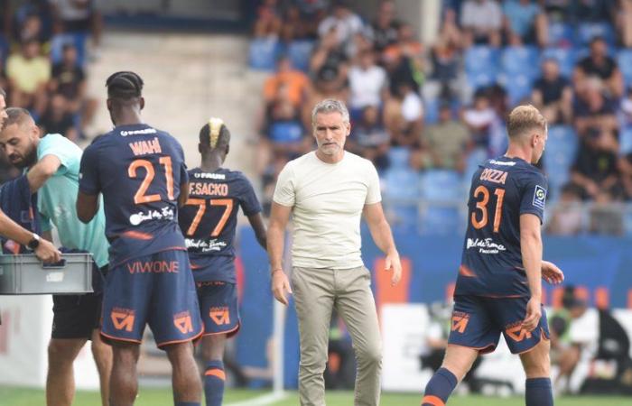 Saint-Etienne – MHSC: “Se prendi giocatori senior, devono essere presenti”, si rammarica Olivier Dall'Oglio, ex allenatore del Montpellier