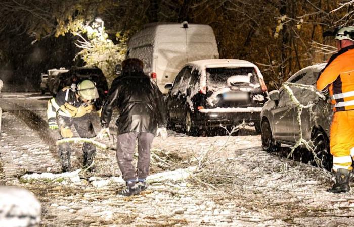 Meteo: la neve provoca incidenti e ritardi dei voli | Notizia