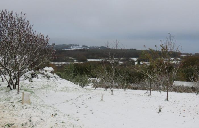 NELLE IMMAGINI. Nella Côtes-d'Armor diversi centimetri di neve hanno coperto le campagne