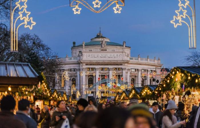 Amanti della musica? Trascorri le tue feste di fine anno in musica a Vienna