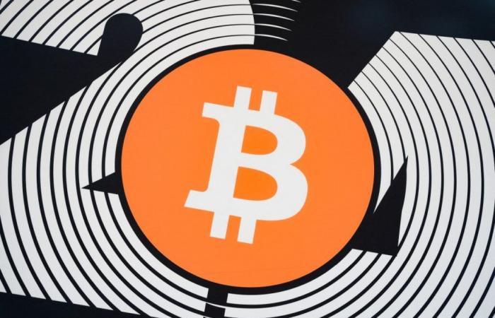 Bitcoin supera per la prima volta i 96.000 dollari grazie all’ottimismo sui piani crittografici di Trump