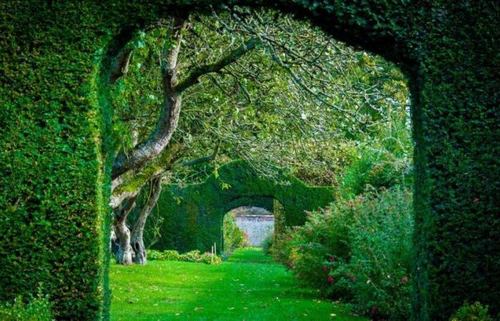 Un giardino per un regno, di Gwenaële Robert: paradiso verde