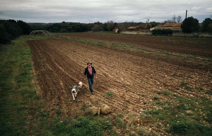 la riforma della RSA indebolisce gli agricoltori