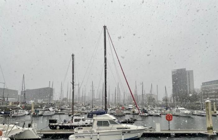 Bollettino meteorologico. Allerta arancione nella Senna Marittima: finalmente arriva la neve a Le Havre