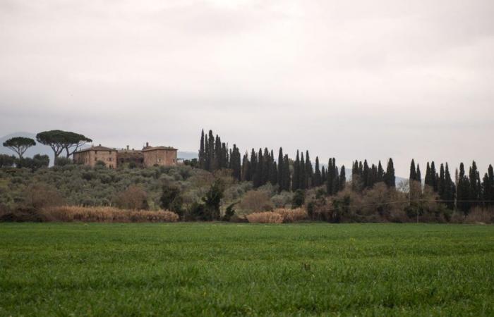 Quanto vale una casa infestata?