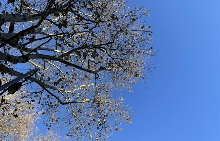 Bollettino meteorologico. Che tempo fa in Alta Francia questo giovedì 21 novembre?