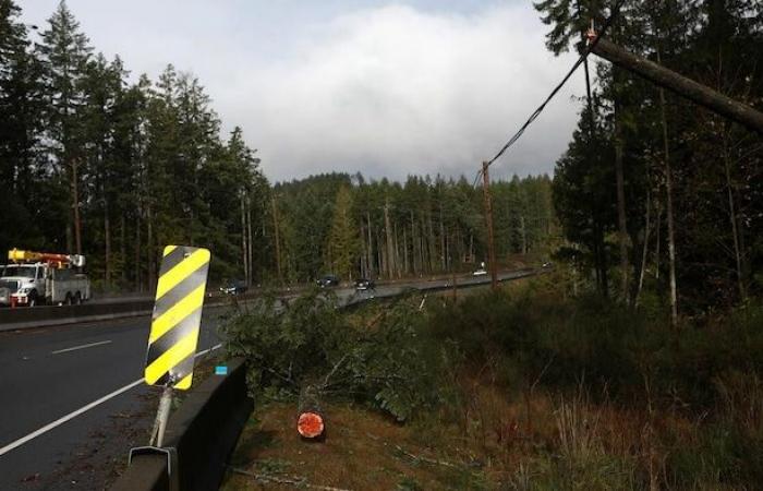 Più di 55.000 case ancora senza elettricità dopo la bomba meteorologica