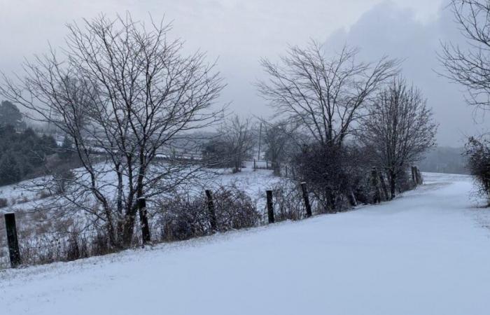 Sì, abbiamo usato la parola “neve” nelle previsioni per la prossima settimana