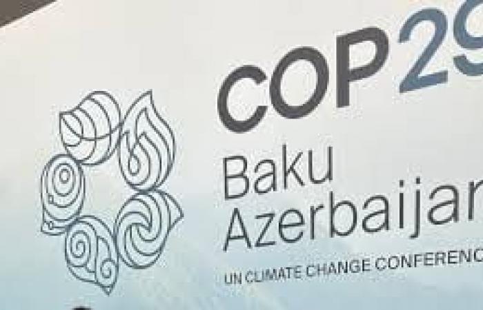 COP29: quale futuro per i tutori dell’ambiente in Africa? | APAnews