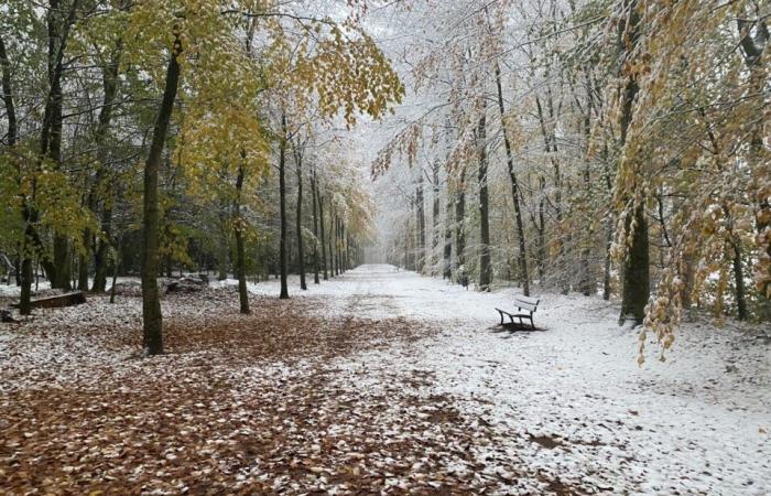 NELLE IMMAGINI. Il paese di Flers si risveglia sotto la neve: un decoro natalizio