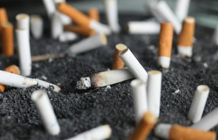 Qual è l’impatto ambientale del tabacco?