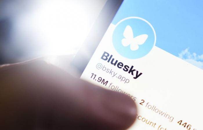 Muovere i primi passi su Bluesky