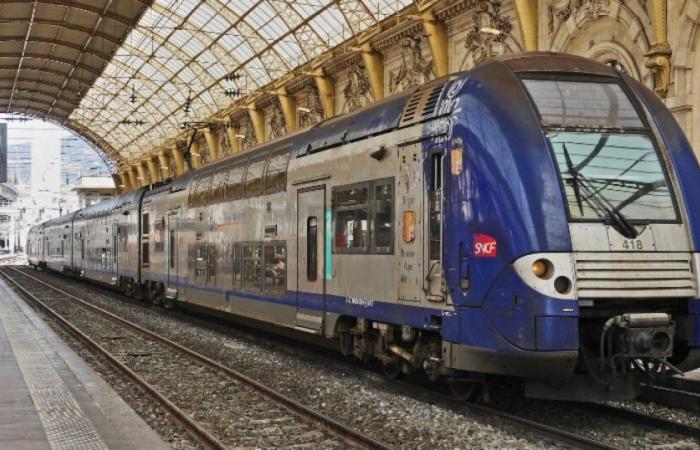 Sciopero della SNCF: trattative salariali organizzate a gennaio per scongiurare la minaccia delle ferie: Attualità