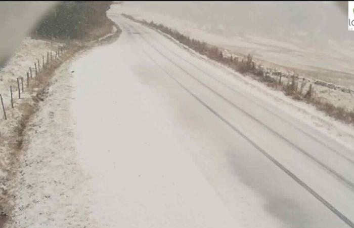 la neve cade questo giovedì in Occitania, immagini nella Lozère