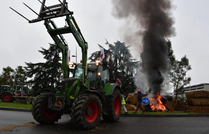 La rabbia dei contadini. Mobilitazione vicino a Tolosa, venerdì: ecco a cosa mirano