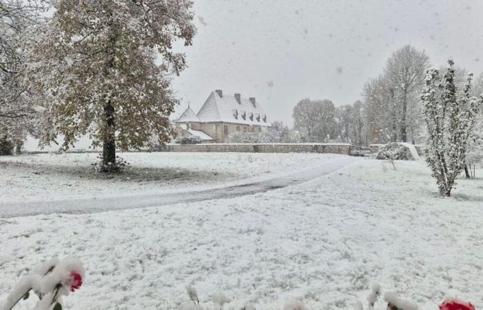 IMMAGINI – Le tue foto più belle della Lorena sotto la neve