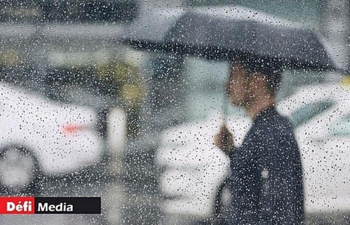 vigilia, forte pioggia, dalle 16:00 di mercoledì fino alle 16:00 di questo giovedì