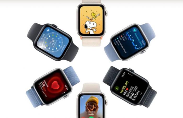 Apple Watch SE a prezzi pazzeschi da Fnac, offerta valida 24 ore!