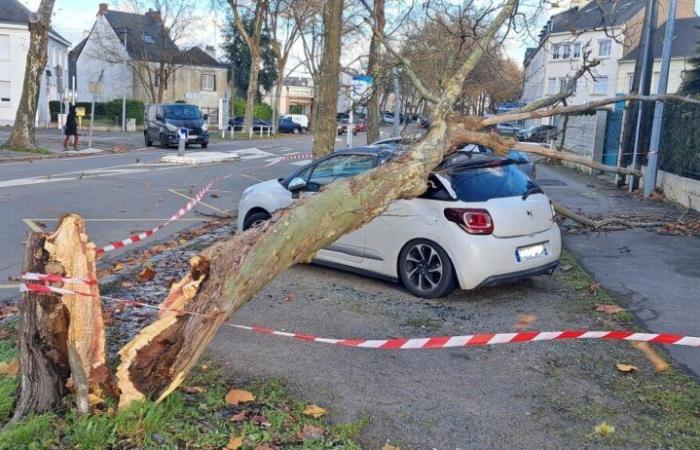 La tempesta Caetano provoca danni a Saint-Nazaire e nella Loira Atlantica