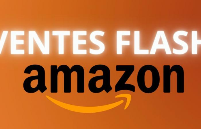 Fire TV Stick, Echo Dot, Echo Show… Le offerte del Black Friday di Amazon sono finalmente online questo giovedì