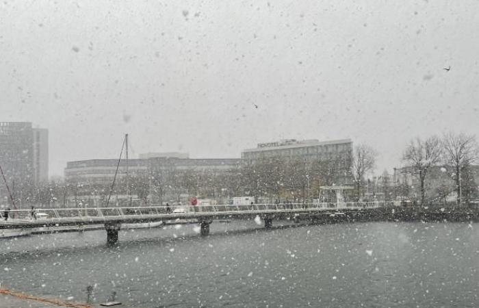 Bollettino meteorologico. Allerta arancione nella Senna Marittima: finalmente arriva la neve a Le Havre