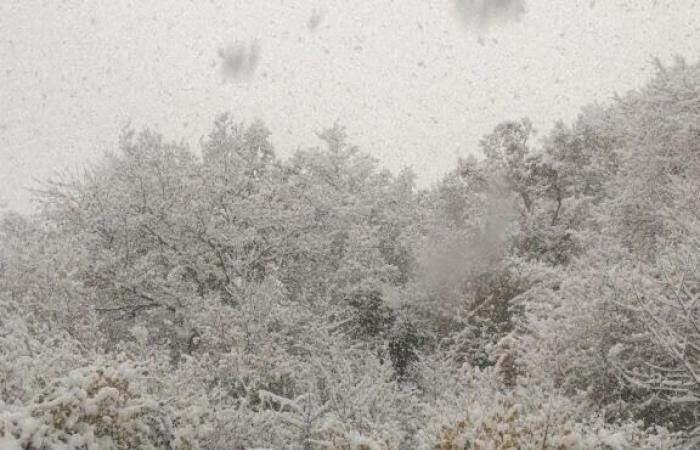 25 cm in alcuni punti, trasporti scolastici fermi…