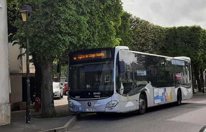 linee autobus sospese fino a nuova comunicazione