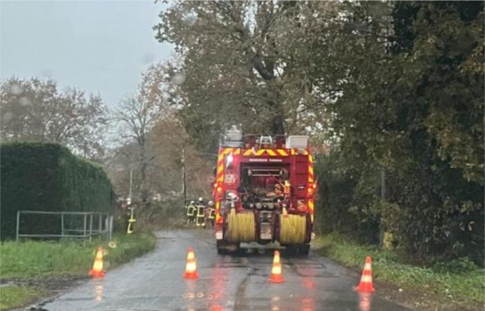 Strade bloccate, interruzioni di corrente… Le conseguenze della tempesta Caetano nel Sud della Gironda