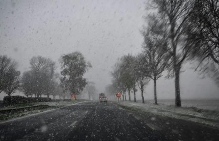 immagini dei primi fiocchi di neve in Francia