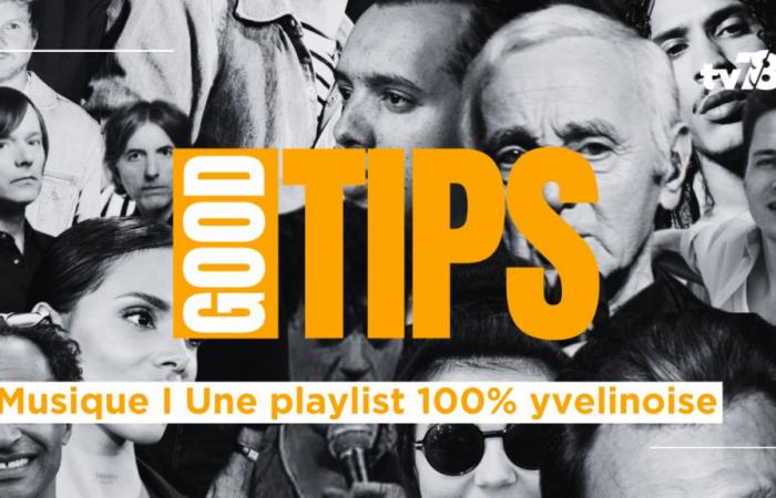 La playlist di Yvelines I Aznavour, Hoshi, Phoenix, La Fouine e gli altri