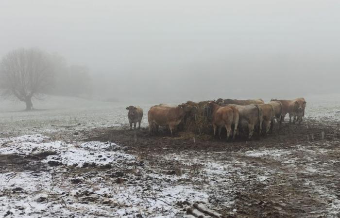 BOLLETTINO METEO. Primi fiocchi di neve nella Lozère sopra i 500 metri, prevista pioggia per il fine settimana