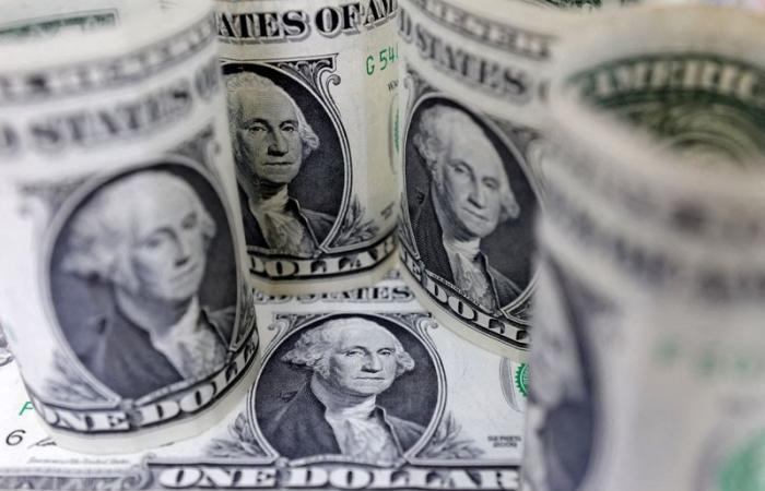 Il dollaro tocca il massimo degli ultimi 13 mesi mentre il mercato attende il prossimo segnale della Fed