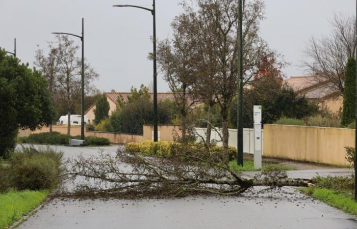 Tempesta Caetano a Vienne: i primi danni