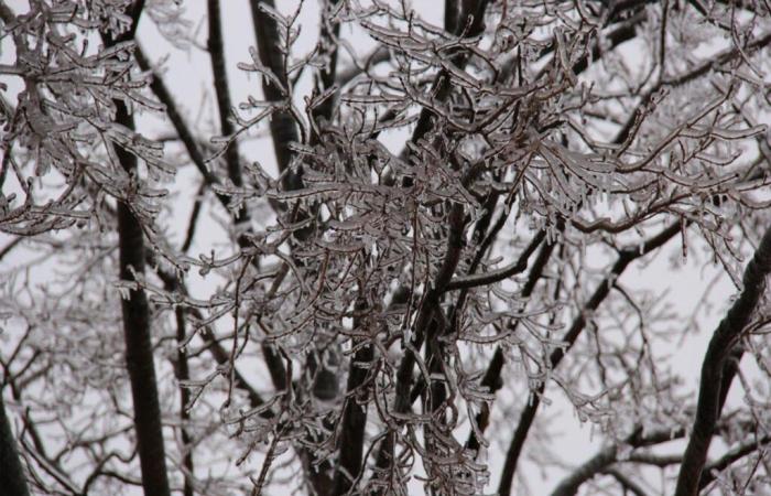 Allerta gialla in Mosella per il primo episodio di neve-ghiaccio del 2024