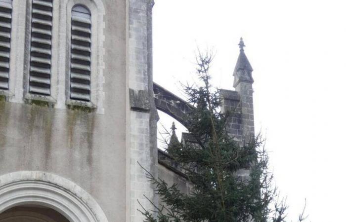 l'albero di Natale di questa cittadina della Loira Atlantica è oggetto di dibattito