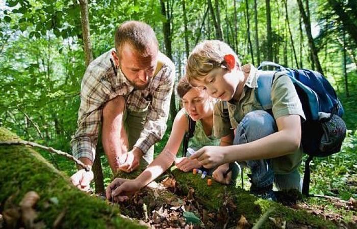 Eventi France Bleu Picardie dal 25 novembre al 1 dicembre 2024