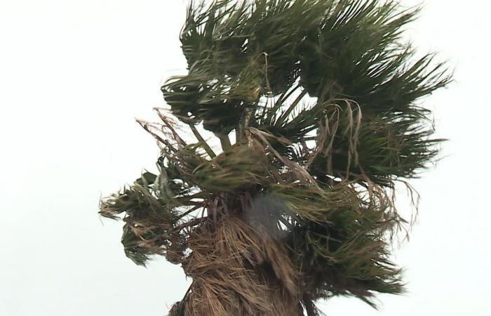 giallo prima di tornare all'arancione questo giovedì sera