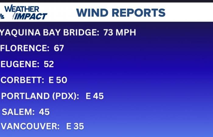 Ciclone bomba: quanto è aumentata la velocità del vento a Portland, Oregon?