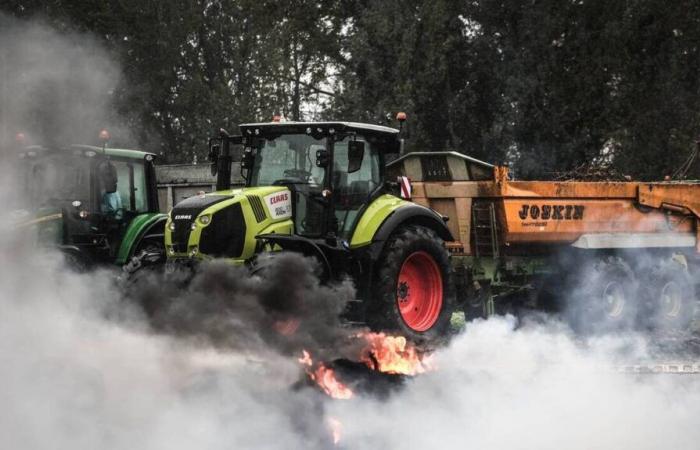 il prefetto delle Landes presenterà denuncia contro il Coordinamento rurale