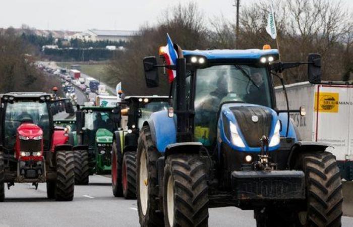 La mobilitazione sta perdendo slancio?