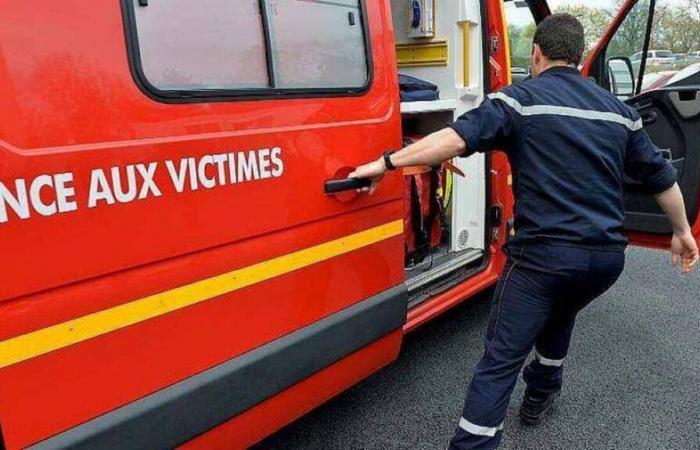 Tempesta Caetano. Un automobilista gravemente ferito dalla caduta di un albero a nord di Nantes