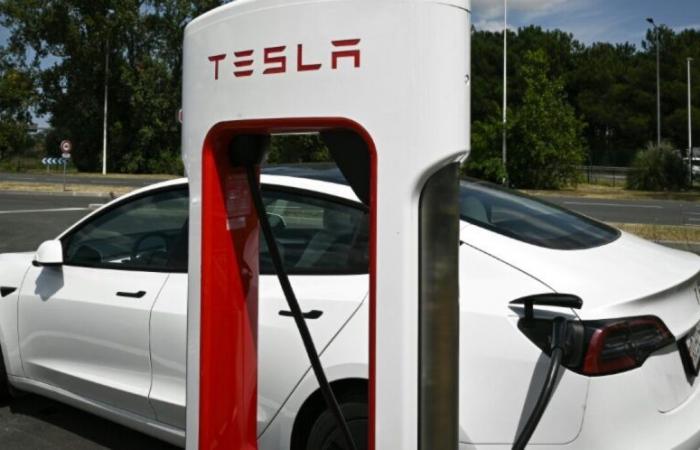 Incidente mortale a Parigi: Tesla chiamata a modificare il suo sistema di frenata d'emergenza