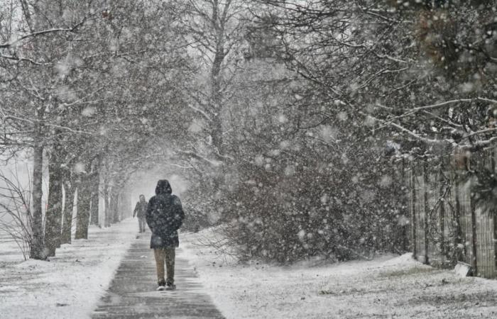 DWD avviso di tempesta di “forti nevicate”