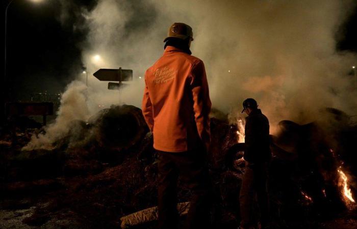 DIRETTO. Rabbia degli agricoltori: bloccato il porto commerciale di Bordeaux, nuove azioni questo giovedì nel Sud-Ovest