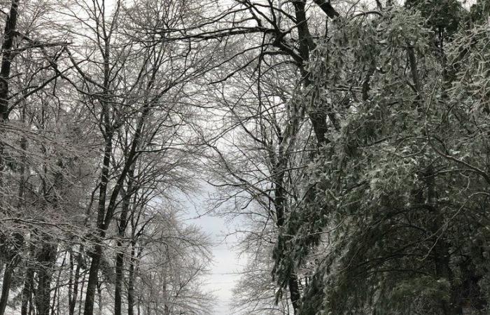 La tempesta Caetano è arrivata in Francia: 54 dipartimenti in allerta arancione per neve, ghiaccio e vento, l'aggiornamento sulle previsioni